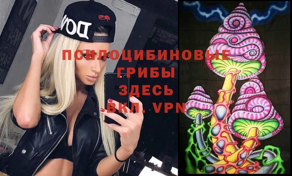 молекула духа Михайловск