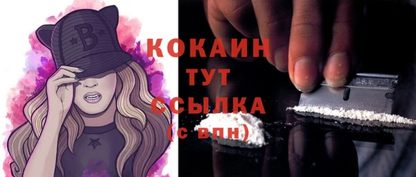 тгк Михайлов