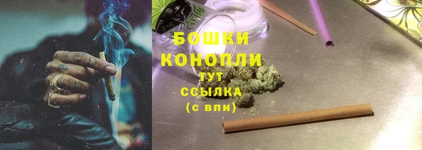 молекула духа Михайловск