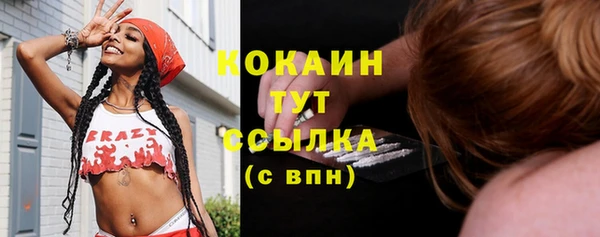 молекула духа Михайловск