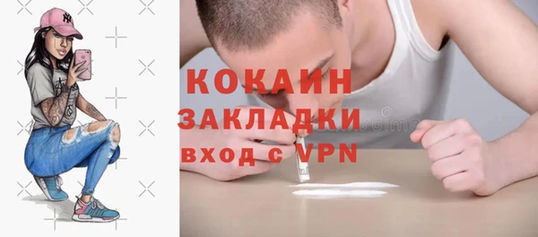 тгк Михайлов
