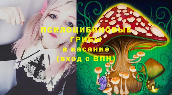 молекула духа Михайловск