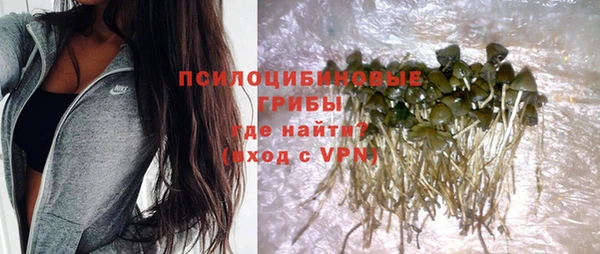 тгк Михайлов