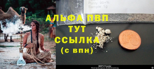 молекула духа Михайловск