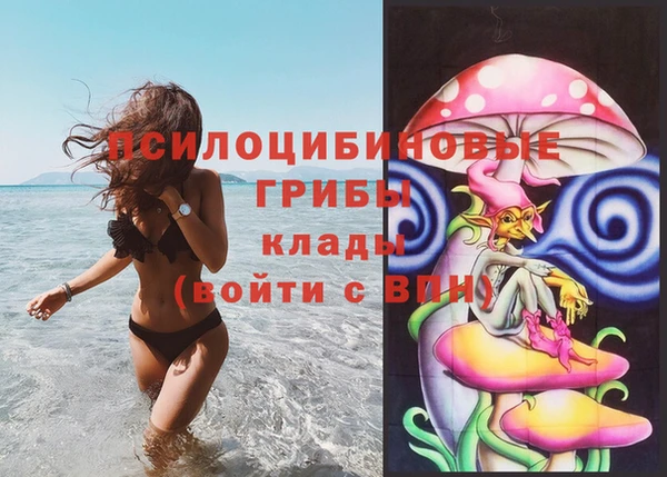 тгк Михайлов