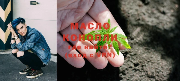 тгк Михайлов
