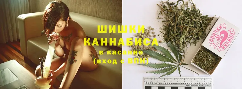 сколько стоит  ссылка на мегу маркетплейс  Бошки Шишки SATIVA & INDICA  Краснознаменск 