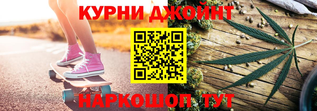 Конопля конопля  Марихуана семена  Краснознаменск  МАРИХУАНА OG Kush  Каннабис гибрид 